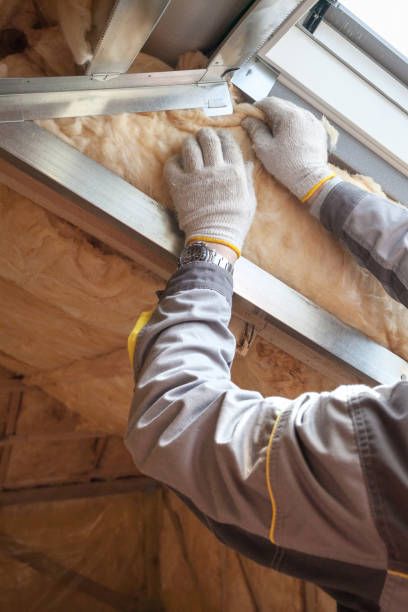 Best Insulation Replacement  in USA